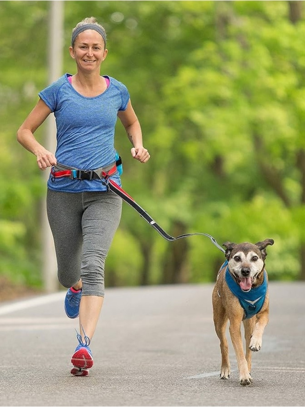 FINAL PRICE NWT Kurgo Gray and Red Hands-Free Dog Walking Belt with Blue Bottle